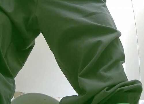 Asian toilet voyeur 1074