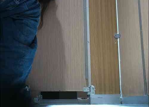 Asian toilet voyeur 1488
