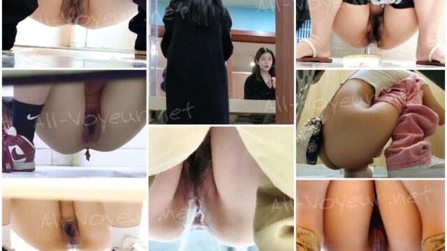 toilet-hidden-camerassifangktv 2476