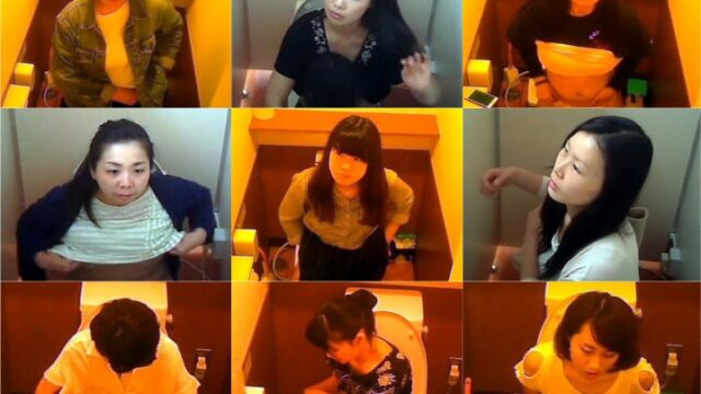 洋式トイレ盗撮、女のオアシス（ＯＬ～熟女）