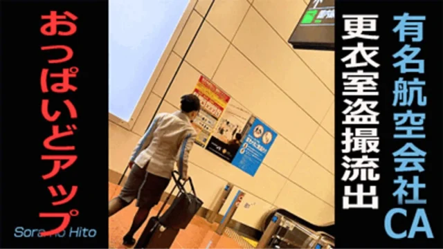 【某航空会社社員によるCA盗撮17】CAのデカパイがカメラの目の前に! [1.6GB]