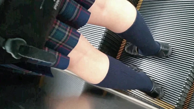 けしからん、エスカレーターで盗撮を警戒して最後尾に乗る娘には悪戯【PC用・縦動画】 [2.2GB]