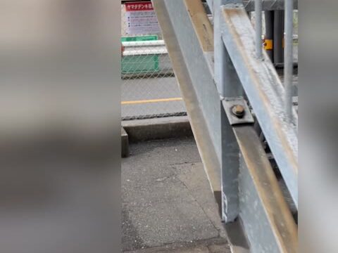 青チェを真下から撮影成功！