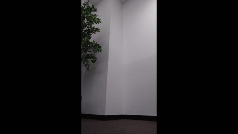 盗撮 369