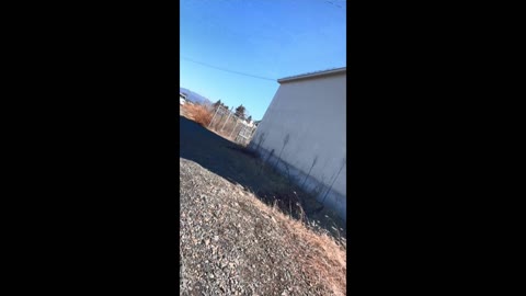 学生風盗撮 94