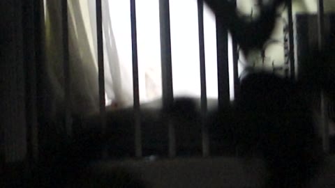 Voyeurism 1650