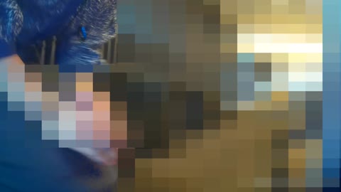 盗撮 216