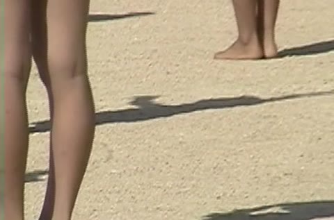 ぶるまうんどうかいT　D前