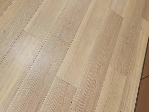 賞味期限は3日。彼女の秘密。