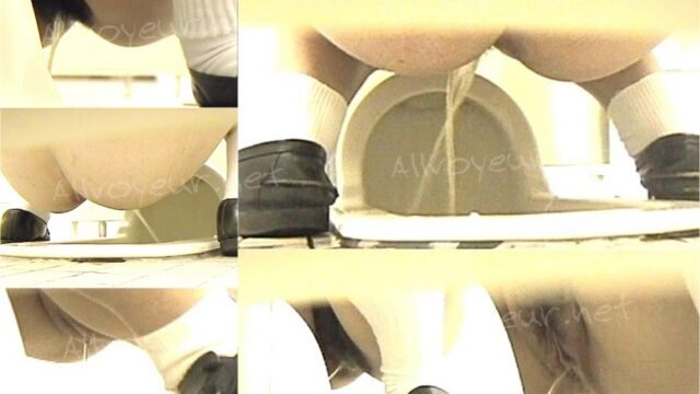 toilet-hidden-cameras某文化会館トイレ1