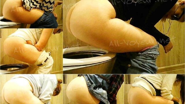 toilet-hidden-camerasPublic Toilet 271