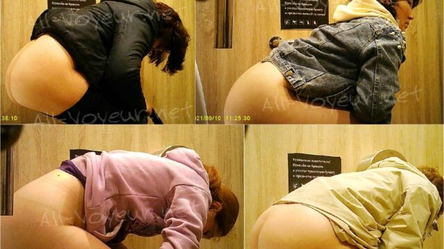 toilet-hidden-camerasPublic Toilet 273