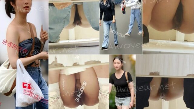 toilet-hidden-camerassifangktv_2031