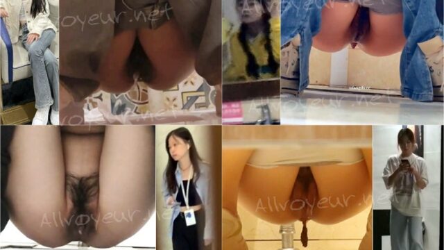 toilet-hidden-camerassifangktv_2039