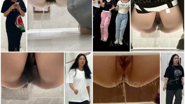toilet-hidden-camerassifangktv 2435