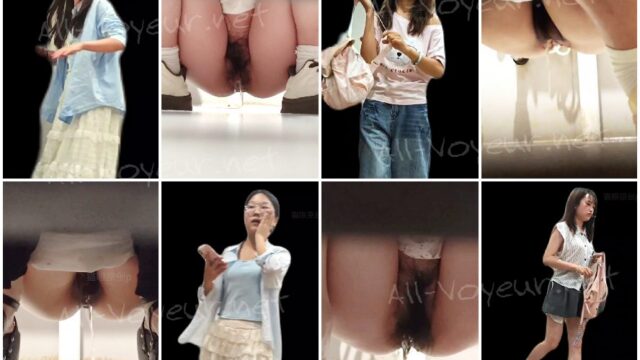 toilet-hidden-camerassifangktv 2592
