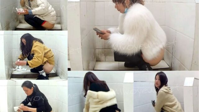 toilet-hidden-camerasOpen_Public_Toilet_6