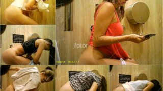Public_Toilet_266