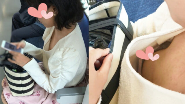 [胸チラ]上品な巨乳お嬢様の乳首が丸見え[顔有]
