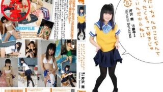 poster-379