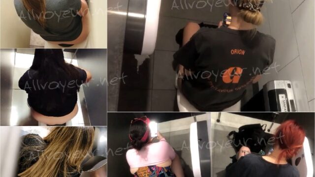 Public_Toilet_Overstall_USA