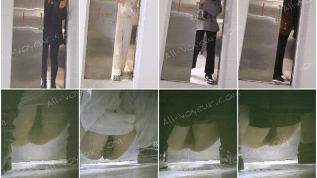 toilet-hidden-camerasオフィスビルのトイレで撮影された女性社員の隠し撮りパノラマ映像 ❤️