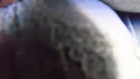 狂信者 #134【★6】モデル体型美女を同業者と満員車両に押し込み！パンツずり下げ長時間生マンで必死の抵抗！